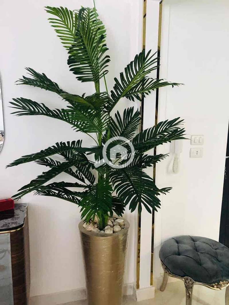 15 c74abe64-048a-46b4-bea8-2a157f4e359d. jpg