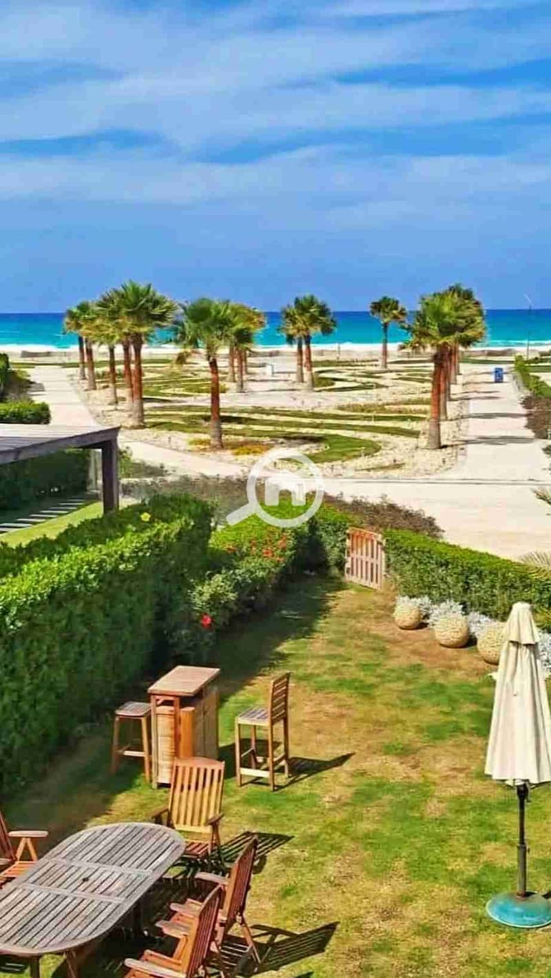 1000684357. jpg 1000684357. jpg