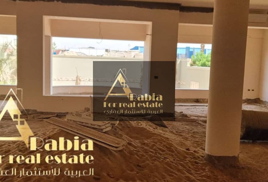 2 bd771885-9fc2-4066-bace-6651d4d5c3df. jpg