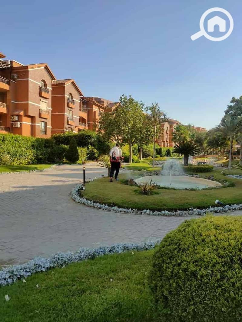 5 ef1e743a-0e44-495e-86d0-63831f5404ec. jpg