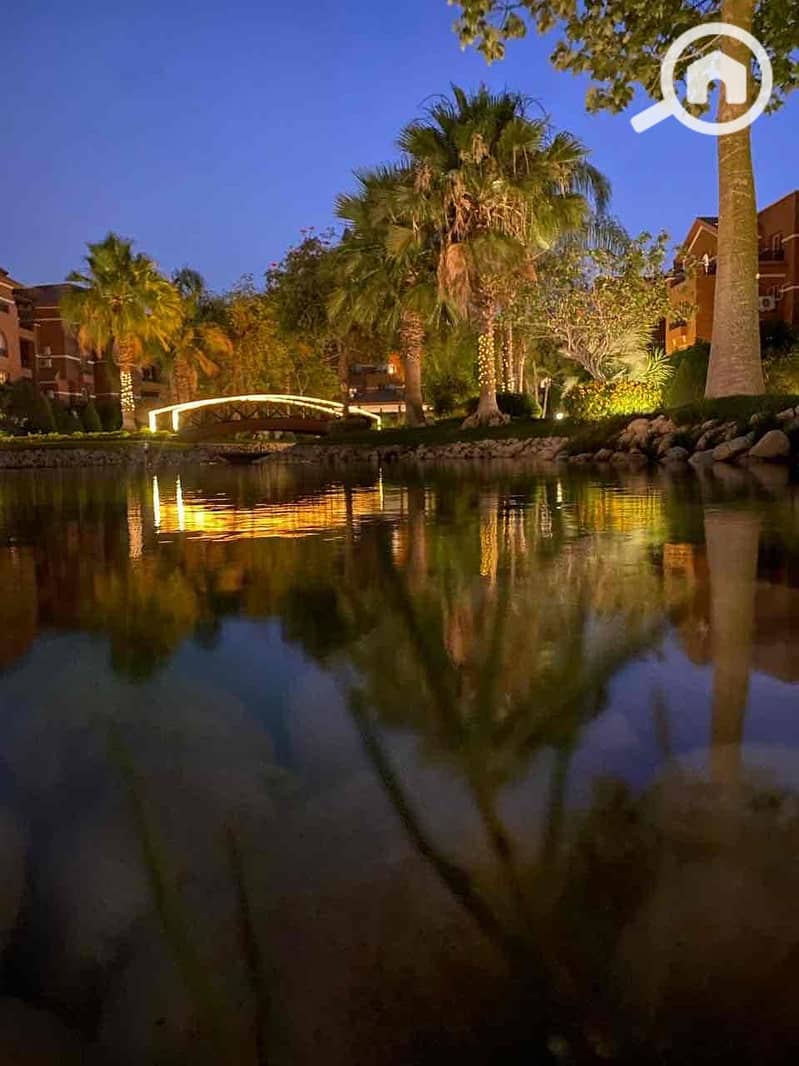 10 fa0ce777-5abe-4f9d-ba6e-f42f8d903694. jpg