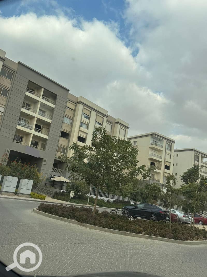 7 565127744_122239723292133709_880285097541926441_n. jpg