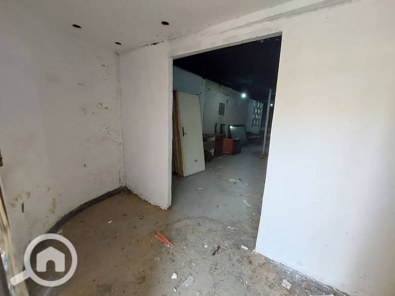 2 photo_2025-03-18_02-16-29. jpg