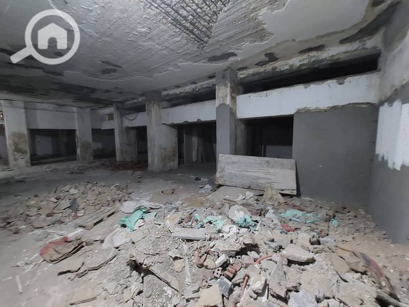 11 photo_2025-03-18_02-15-55. jpg