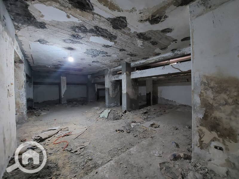 12 photo_2025-03-18_02-15-52. jpg