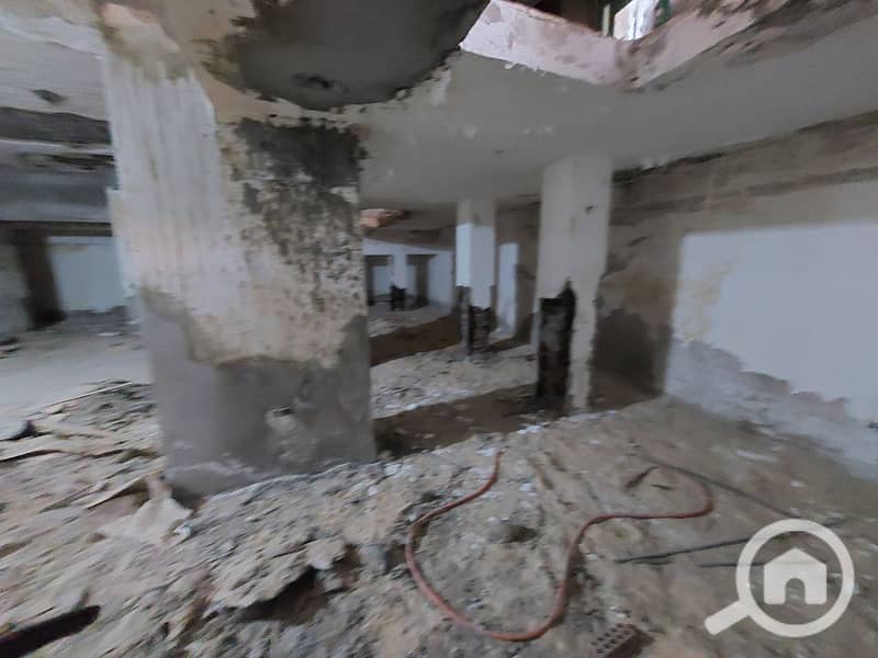 13 photo_2025-03-18_02-15-48. jpg