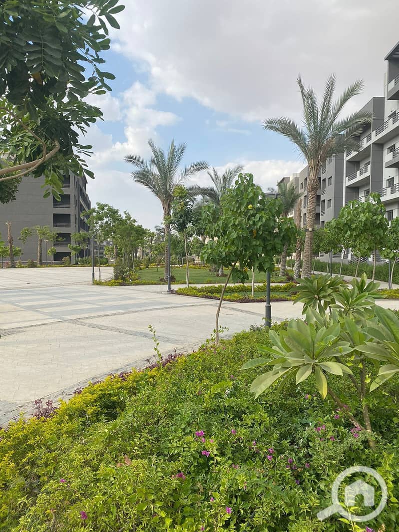 5 560611801_23897920876550757_1858078929895863204_n. jpg