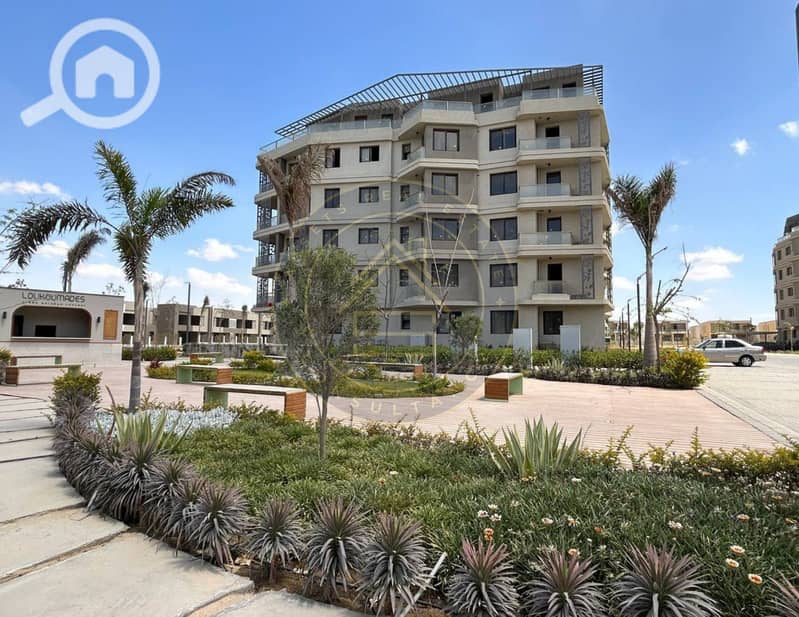 2 photo_1_2025-02-10_11-46-39. jpg