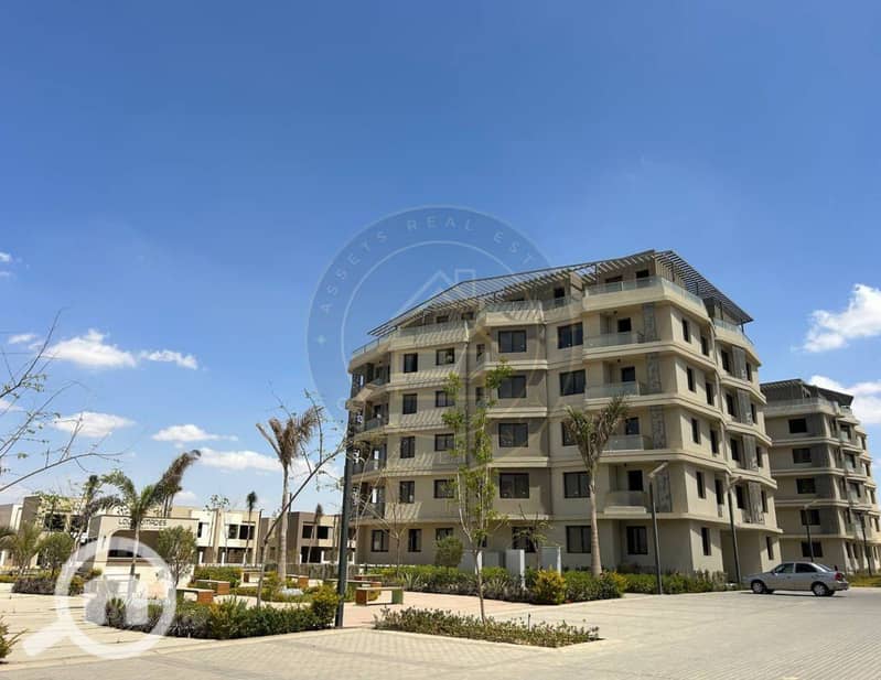 3 photo_2_2025-02-10_11-46-39. jpg