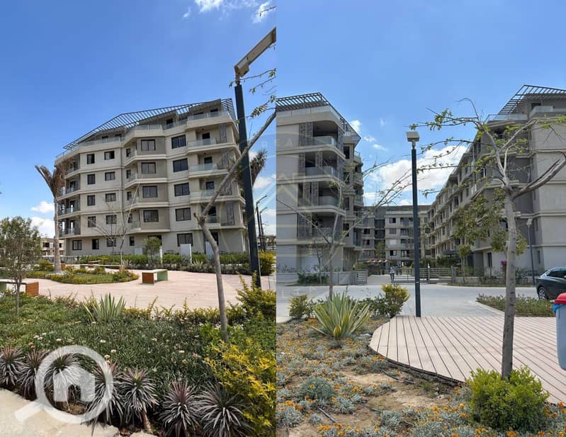 8 photo_7_2025-02-10_11-46-39. jpg