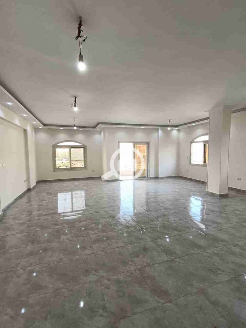 1000091210. jpg 1000091210. jpg