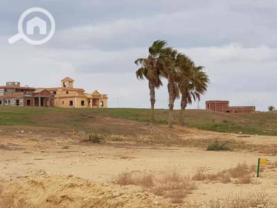Residential Land for Sale in 6th of October, Giza - IMG_4641. jpg