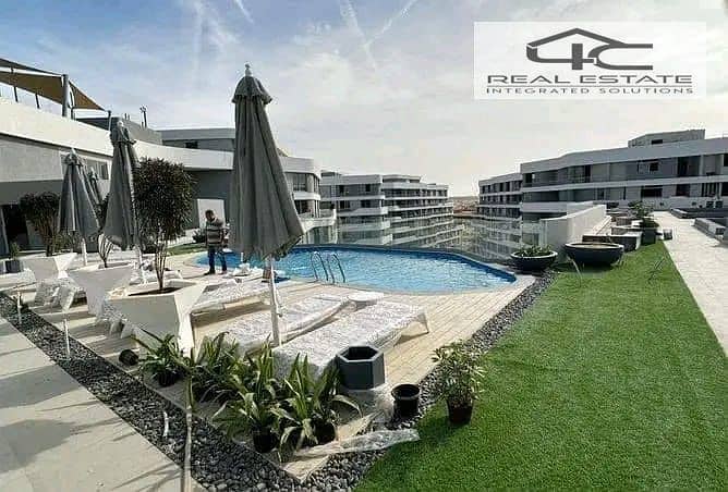 3 WhatsApp Image 2025-10-15 at 04.58. 17_5b041465. jpg