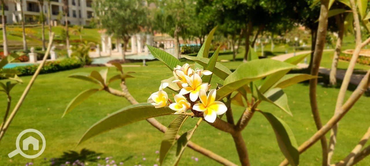 12 WhatsApp Image 2020-11-27 at 11.54. 54 AM. jpeg