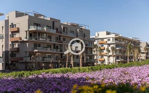 3 Bedroom Flat for Rent in New Cairo, Cairo - VRES_Q1-24_3. jpg