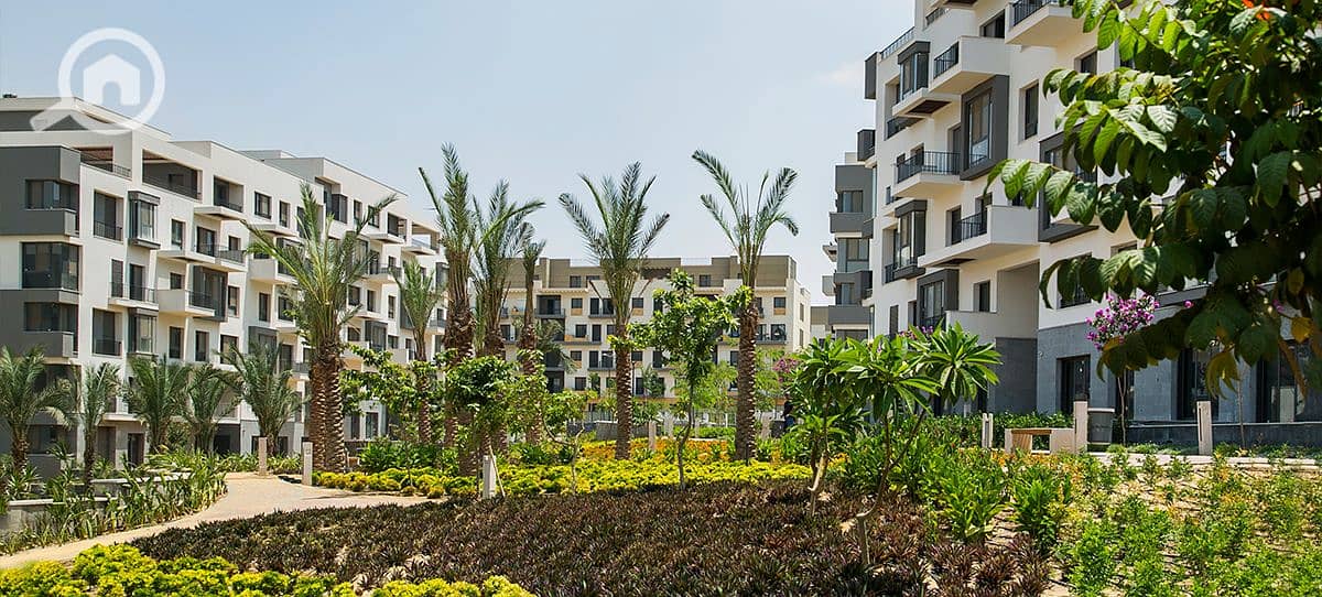 3 renditionDownload. jpg