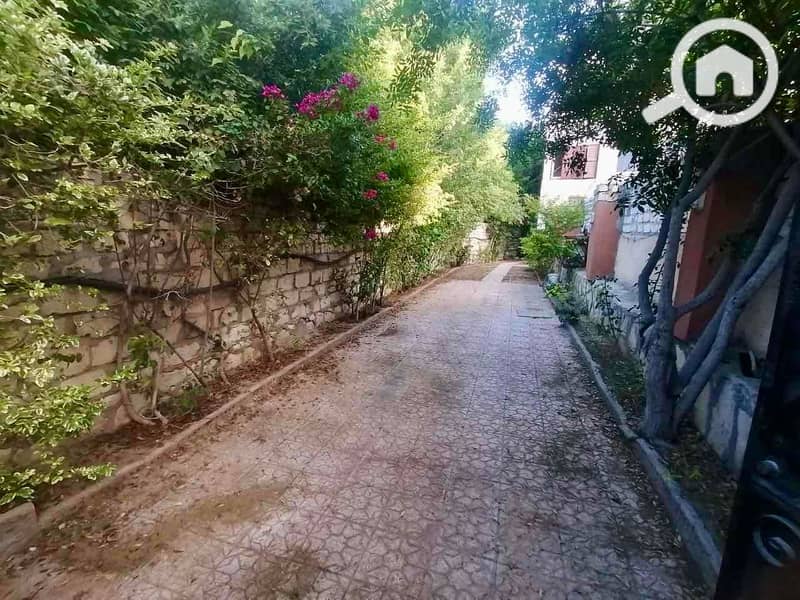 2 e4f1fded-cc8e-46fb-b8b7-eee382d31da7. jpg