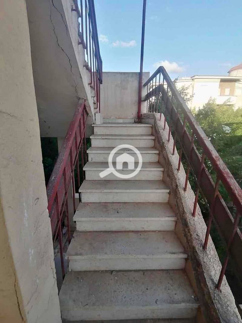 6 cf16574f-98f3-4688-aea8-82624ef7fb23. jpg