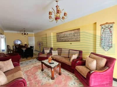 شقة 3 غرف نوم للايجار في زيزينيا، الإسكندرية - WhatsApp Image 2025-12-09 at 3.17. 09 AM (3). jpeg