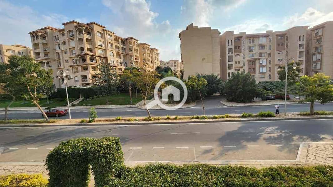 13 6a8dfd92-1b78-47e3-a634-973efed953a8. jpg