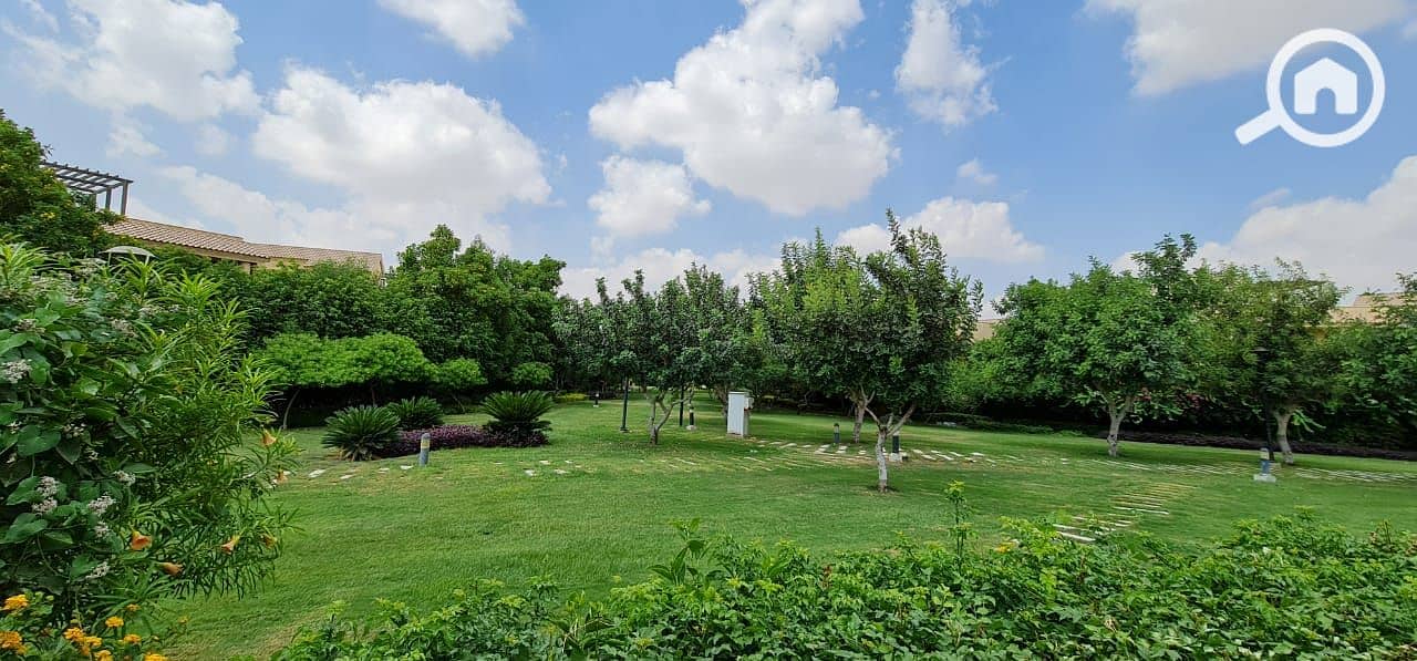 7 c8855455-7905-42ae-b69c-505570c420c4. jpg