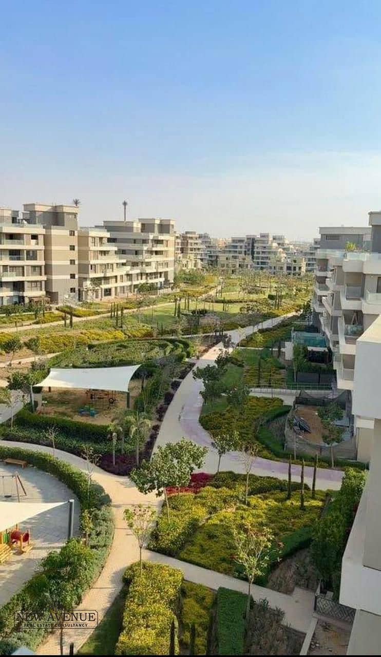 11 WhatsApp Image 2025-11-16 at 5.16. 32 PM. jpeg