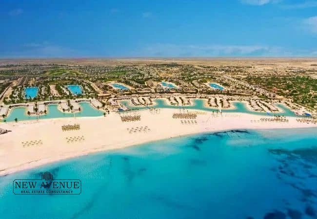 2 WhatsApp Image 2025-11-17 at 4.33. 16 PM (2). jpeg