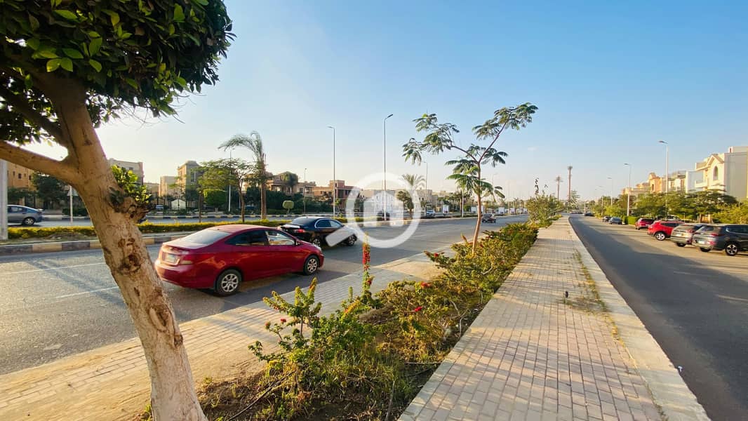 18 12312970-92fd-4ad2-9803-589a9d364dfb. jpg