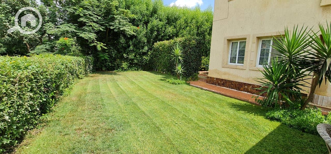 11 e61011e3-db6a-46ad-9118-7f7baed77011. jpg