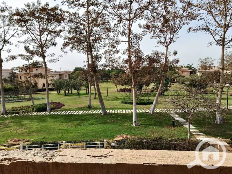 10 62bf8e4f-8ba9-4fc9-9fb6-9a69da2bcdcf. jpeg