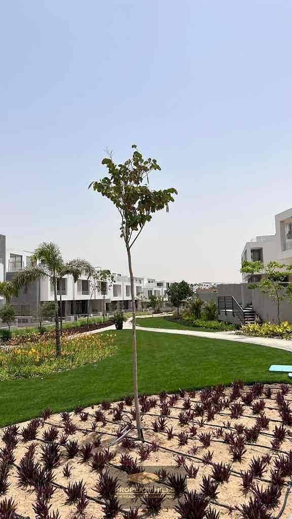 7 78ca21a3-0d69-4624-9b2d-12a42505cc6e. jpg