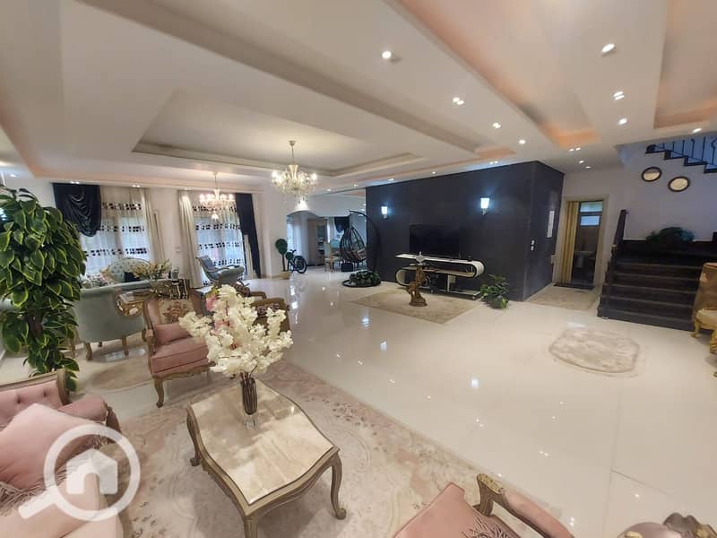 6 088a7d87-5257-45ba-9491-532c16a45ad8. jpg