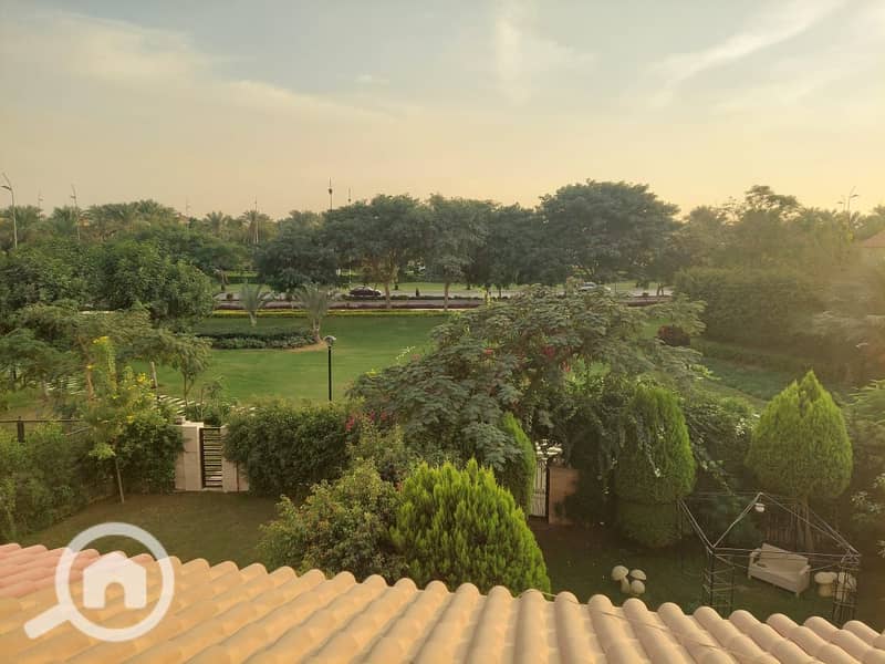 8 0267e138-b774-4e81-8b48-ac71e85f99ce. jpg