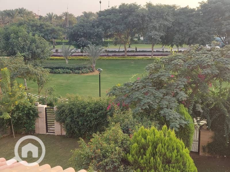 11 d31ca5d0-2f14-47b0-b33f-bf4488479d79. jpg