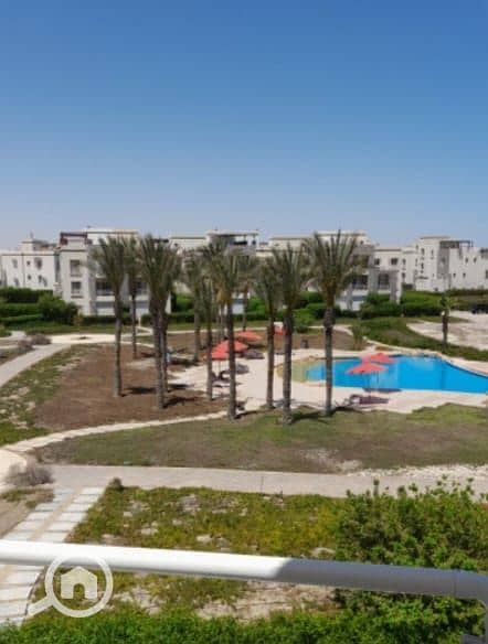 12 WhatsApp Image 2025-11-27 at 16.59. 40_a44a7a49. jpg