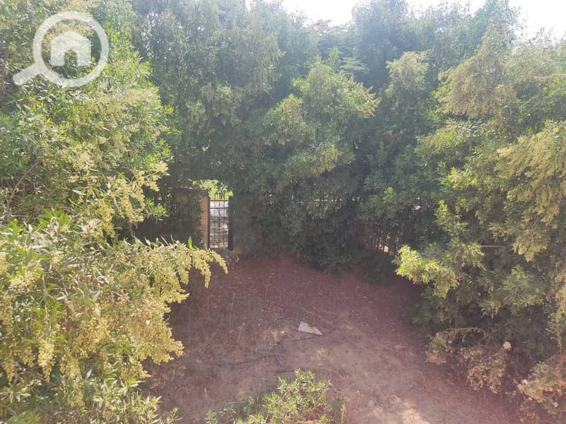 8 cb54f6df-97be-47a8-8fa8-6e05d0538268. jpg