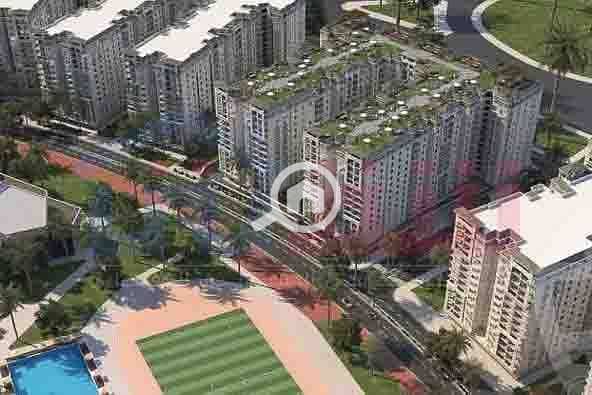 9 WhatsApp Image 2025-08-26 at 4.42. 06 PM (2). jpg