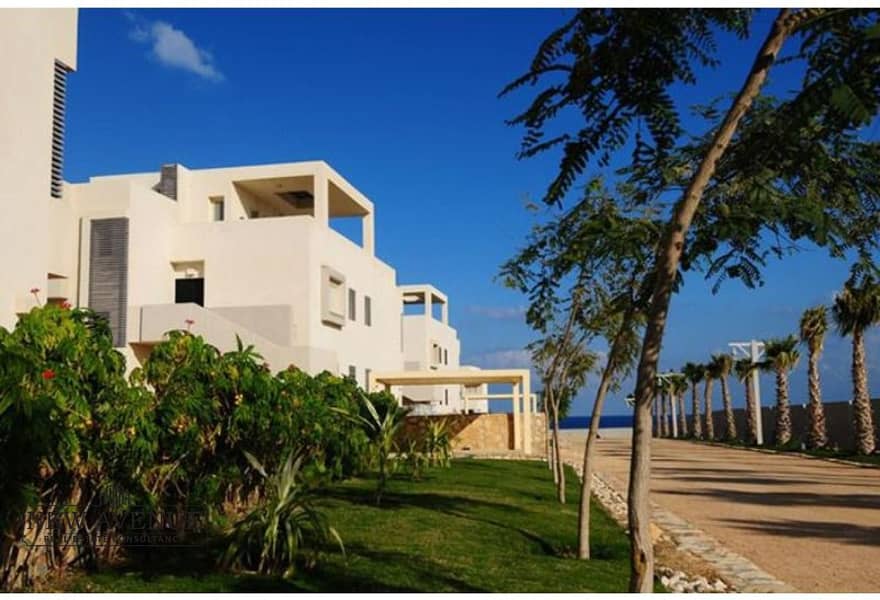 6 7d124ff4-bb75-4e2d-8978-59620022ff69. jpg