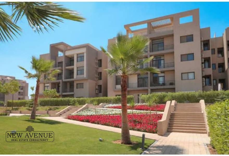 6 aa215dea-daa5-4f16-af05-49517a11dadd. jpg