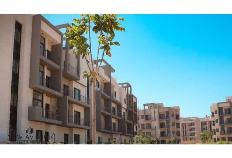 7 d1a7cec9-f39d-4038-9dae-2d1d48348a93. jpg