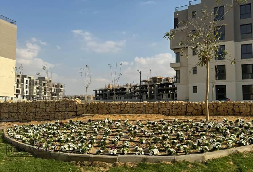 8 bcd93b96-029e-4658-988b-52dbe1661cc8. jpg