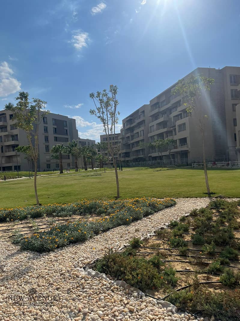 3 WhatsApp Image 2025-12-04 at 1.03. 07 PM (2). jpeg