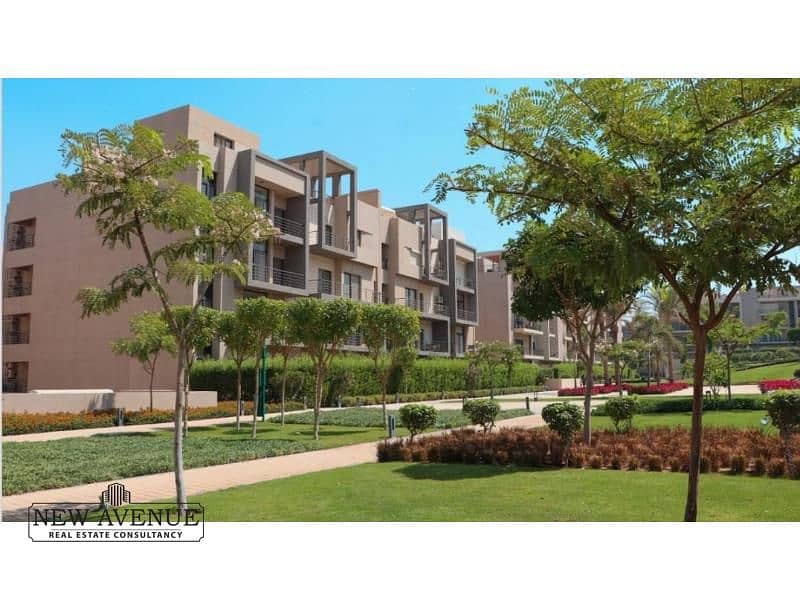 WhatsApp Image 2024-11-07 at 4.11. 15 PM. jpg WhatsApp Image 2024-11-07 at 4.11. 15 PM. jpg