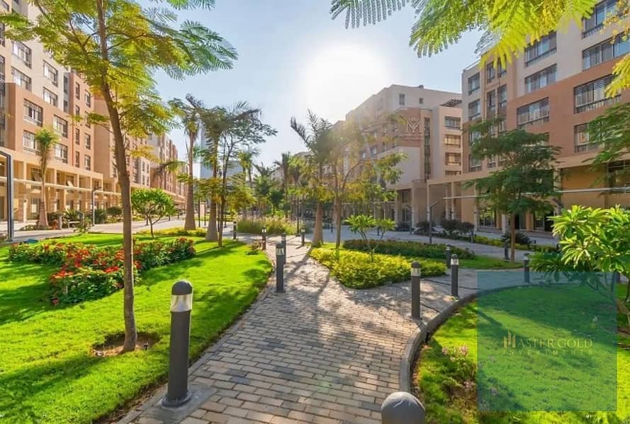 12 Capturffdfde. JPG