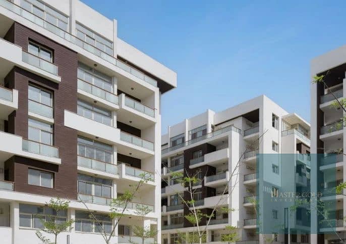 31 المقصد-بارك-3. jpg