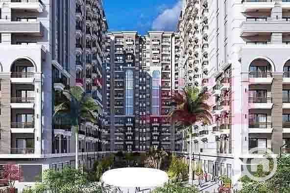 5 WhatsApp Image 2025-08-26 at 4.42. 07 PM (2). jpg