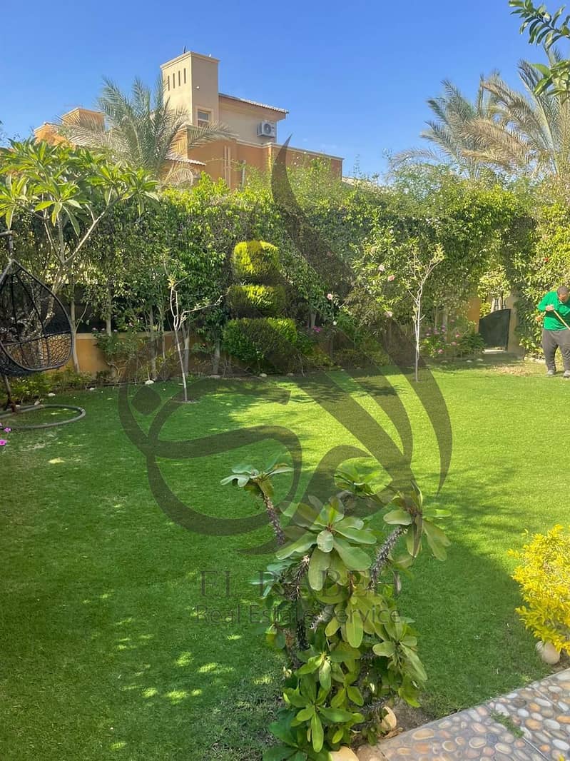 4 WhatsApp Image 2024-11-10 at 12.42. 57 PM (3). jpeg