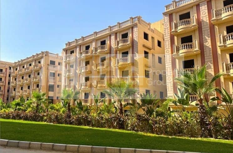 5 WhatsApp Image 2025-10-20 at 11.28. 37_6520e886. jpg