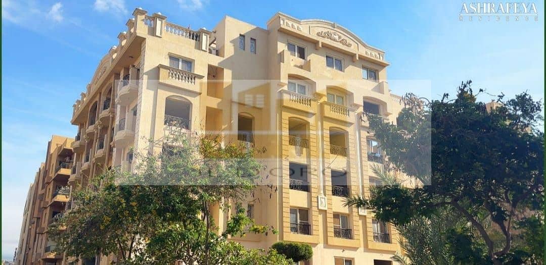 8 WhatsApp Image 2025-10-20 at 11.28. 37_55022b9d. jpg