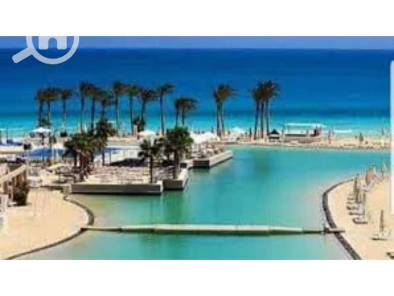 4 images (1). jfif. jpg